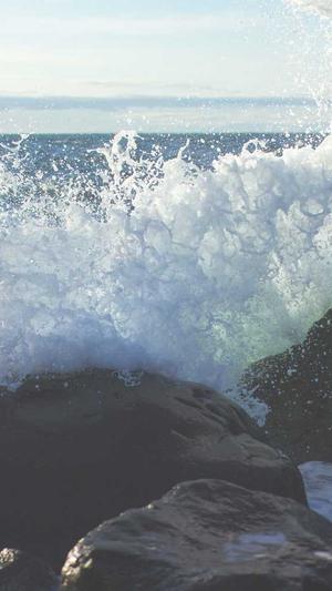 泛目录程序教程截图4