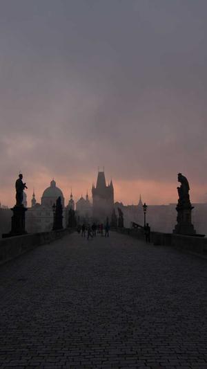 西藏蜘蛛池出租截图1