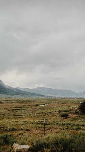 重庆稳定的seo优化工具截图1