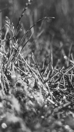 泛目录代发截图2