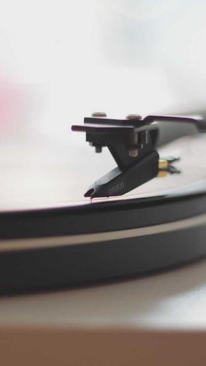 零距离泛目录教程截图4