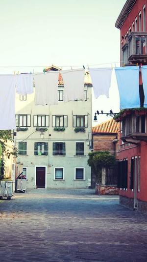 放蜘蛛池链接多久收录截图1