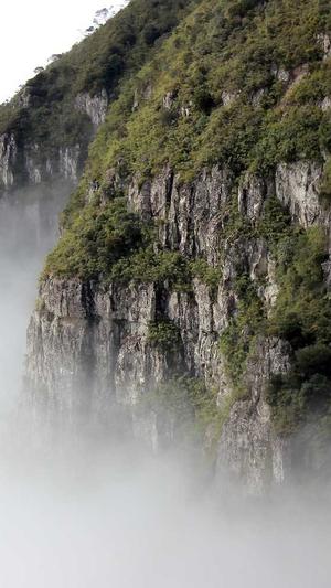 蜘蛛池真的能收录网站截图3