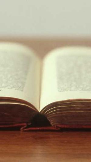 好的蜘蛛池有哪些品牌截图2