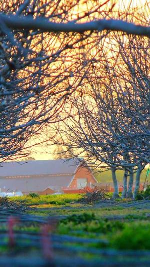 谷歌seo优化工具截图3