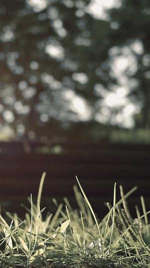 seo提交工具截图5