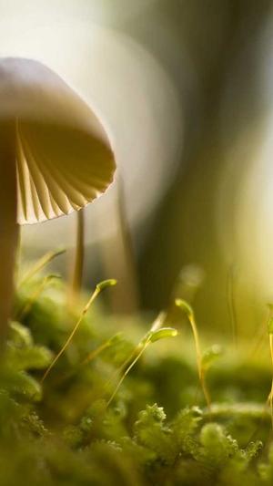 上海集团网站建设截图4