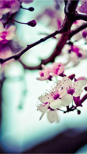 四川网站建设截图3