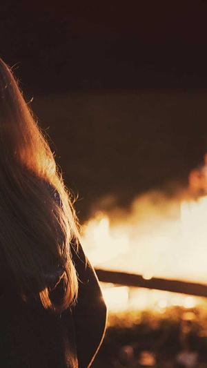 网站建设平台截图3