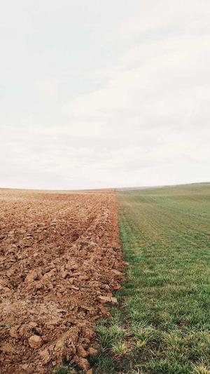 seo在线分析工具截图3