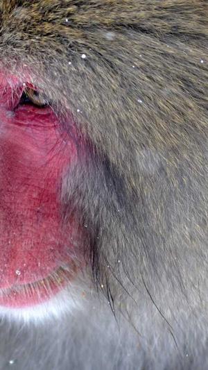 seo分析工具有哪些截图2