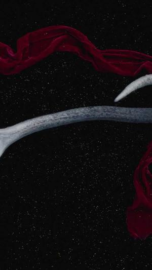 旺道seo推广截图4