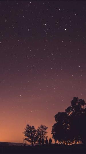 高端网站设计上海网站建设上海截图1