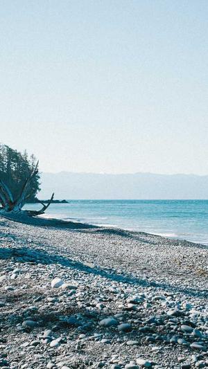 西藏蜘蛛池出租截图4