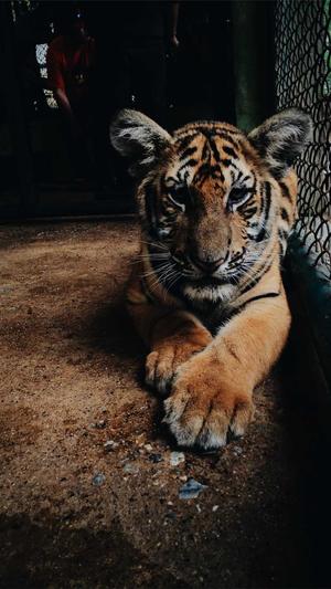 排名优化seo截图3