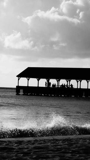 平台seo优化截图3