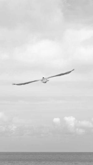 seo推广营销平台蜘蛛池截图2