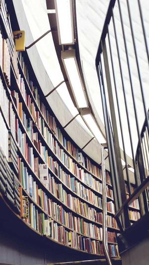 泛目录站群提高客户网站排名截图1