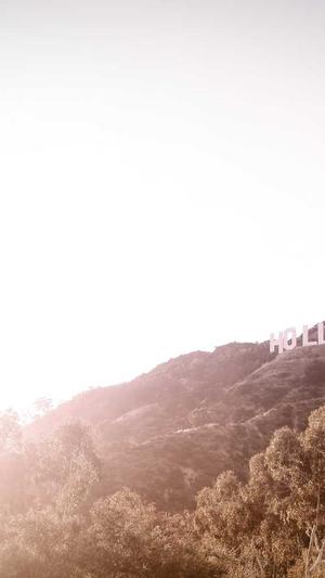 网站泛目录是什么截图2