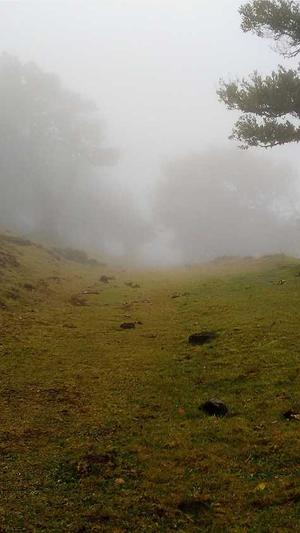 安徽seo优化截图2