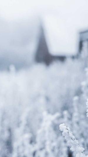 seo兼职工具截图3