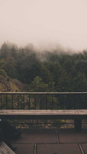 泛目录源码怎么用截图1