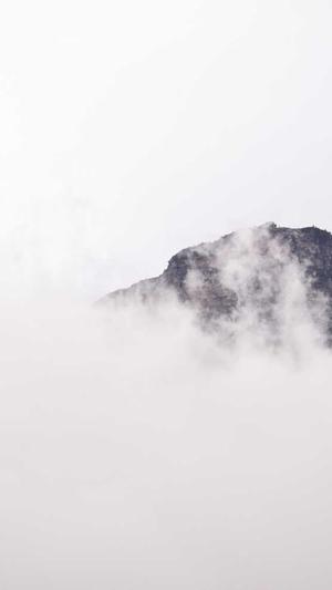 网站seo培训截图2