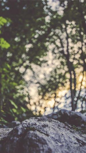 黑帽seo工具截图3