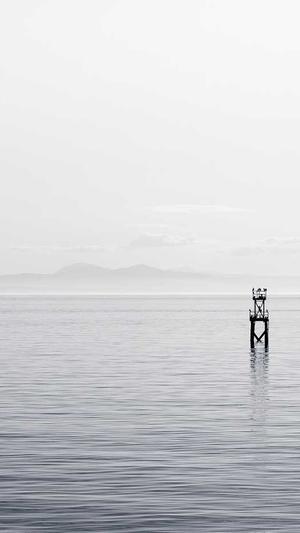 蜘蛛池真的能收录网站截图1