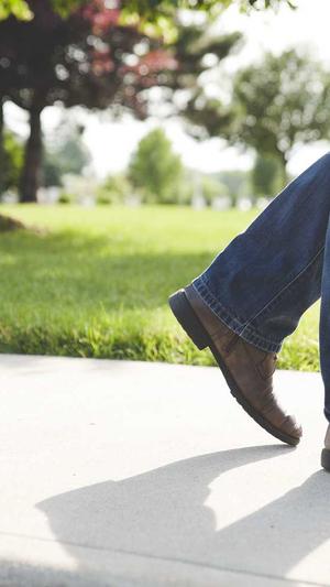 蜘蛛池有什么用的截图1