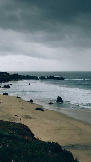 seo优化排名工具截图4