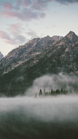 蜘蛛池搭建2018截图5